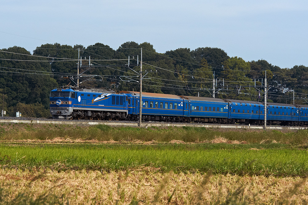 b0221605_827698.jpg