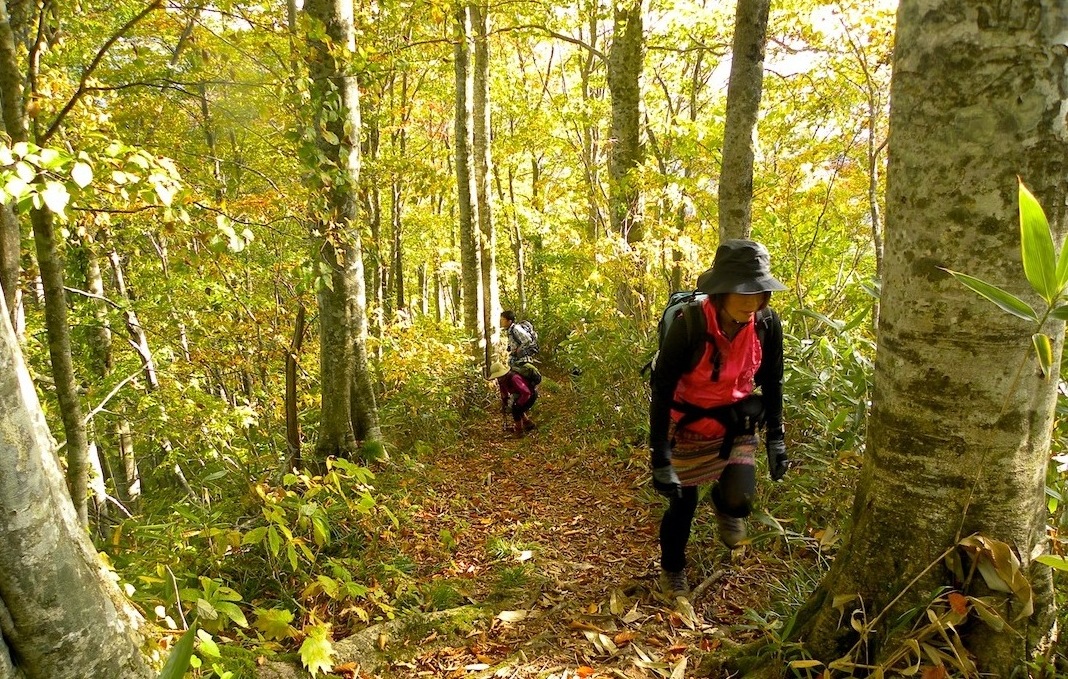 大門山　赤摩木古山　10月17日（水）_c0078410_22493063.jpg