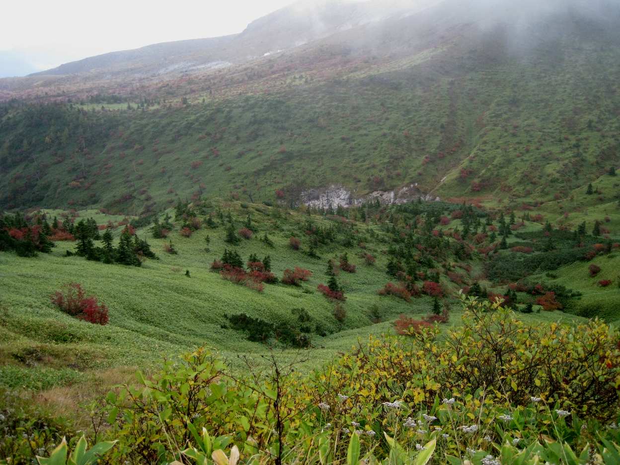 e0003910_22103032.jpg