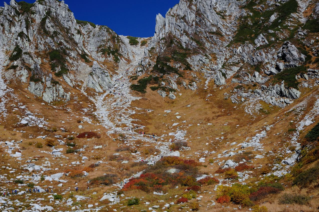 b0260713_17473731.jpg