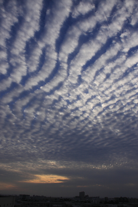 さば雲