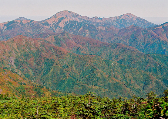 a0113718_4235991.jpg