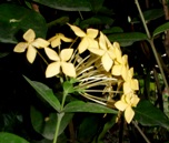 a0043520_51542100.jpg