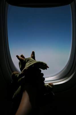 f0097620_16325569.jpg