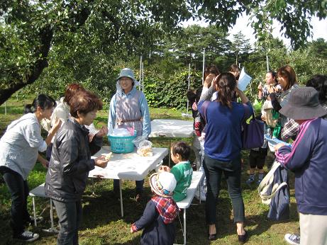 自然体験遠足　沿岸出前体育あそび　その13～野田村平谷観光農園　りんご狩り_a0279721_971584.jpg