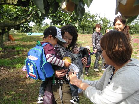 自然体験遠足　沿岸出前体育あそび　その13～野田村平谷観光農園　りんご狩り_a0279721_97462.jpg