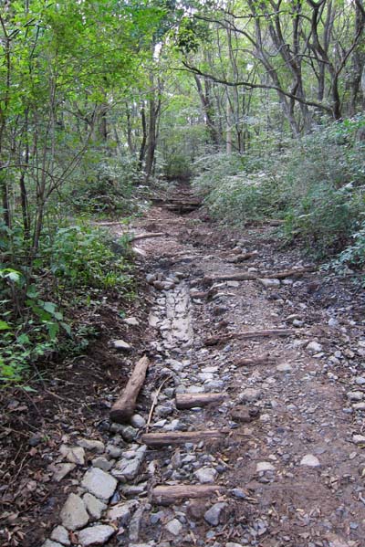 f0147025_921226.jpg