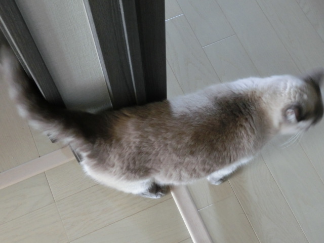 すりすりすり_c0006826_756874.jpg