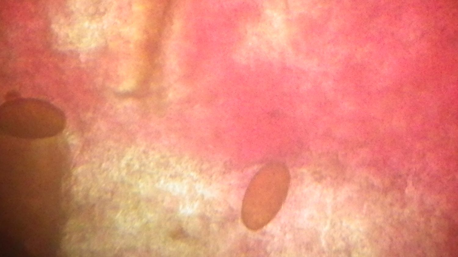 c0162128_1142342.jpg