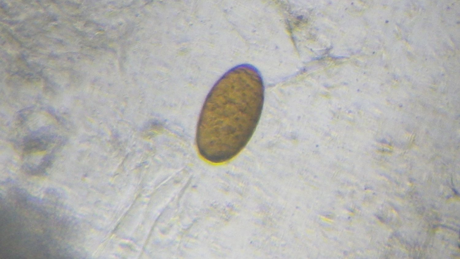 c0162128_118060.jpg