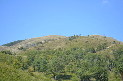 b0165233_21104085.jpg