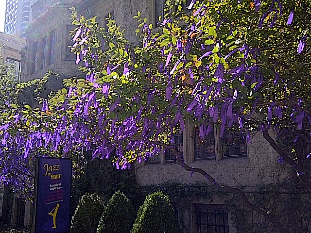 d0257333_2337032.jpg