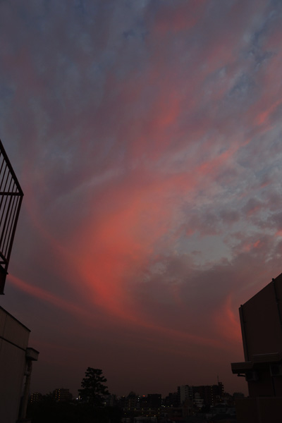 b0175635_06127.jpg