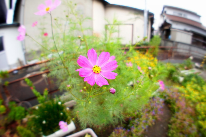 d0241937_13241615.jpg