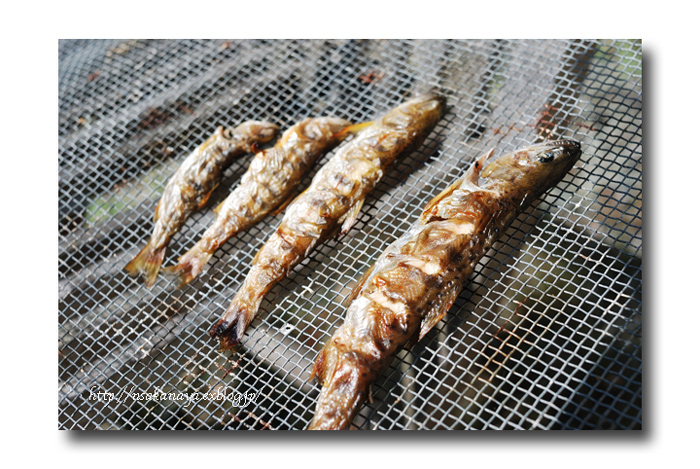 骨酒用 出汁用 焼き干し の 作り方 今回はヤマメを使って 魚屋三代目日記