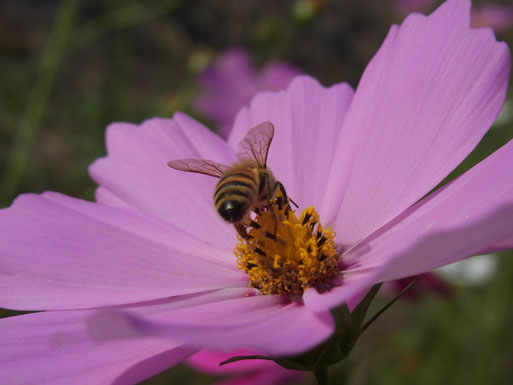 f0206939_219718.jpg