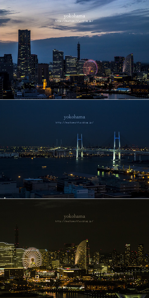 横浜の夜景★_d0124248_2312122.jpg