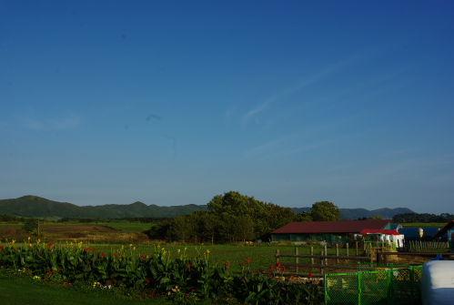 「空が広いなー」_c0225251_1213690.jpg