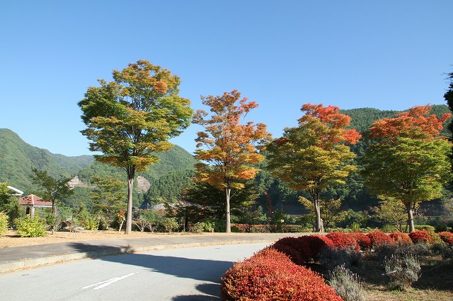 b0100253_93067.jpg