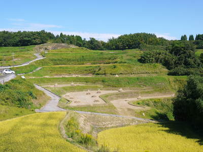 菊池水源棚田米 後藤さんの語る夢_a0254656_11341088.jpg