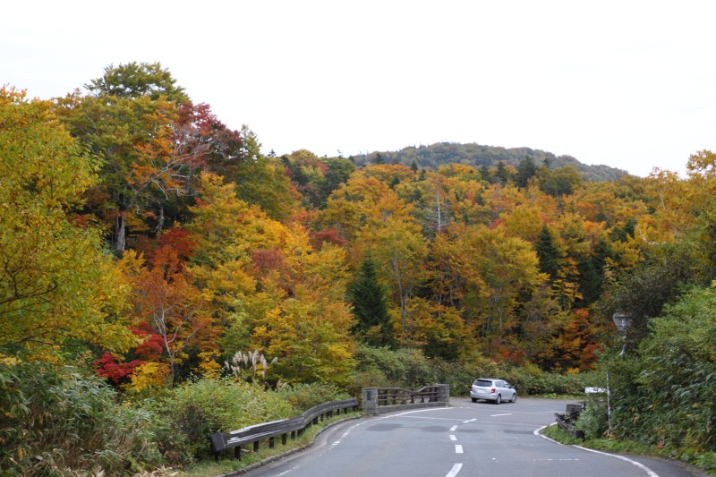 八甲田の紅葉情報２０１２_b0126256_2031166.jpg