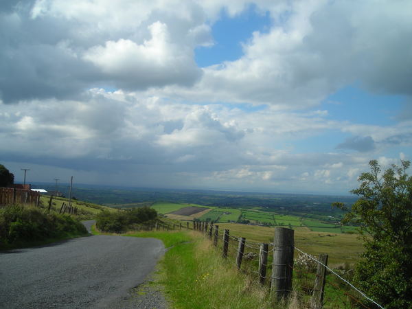 d0103656_05176.jpg