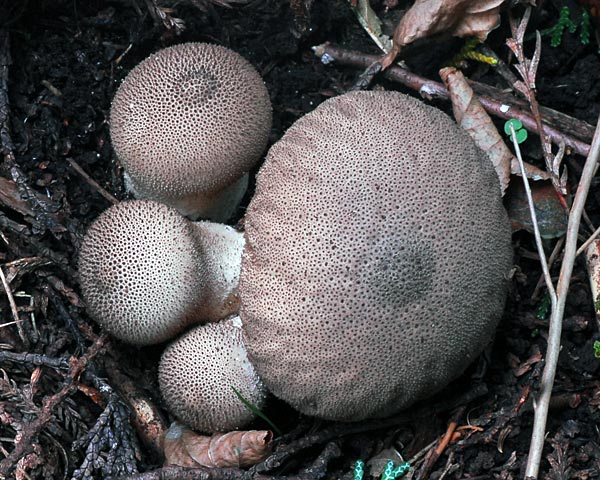 e0035757_17113734.jpg