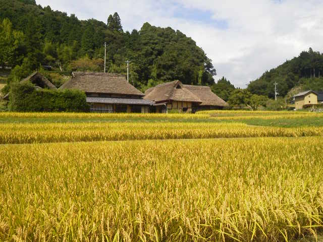 c0214359_23442048.jpg