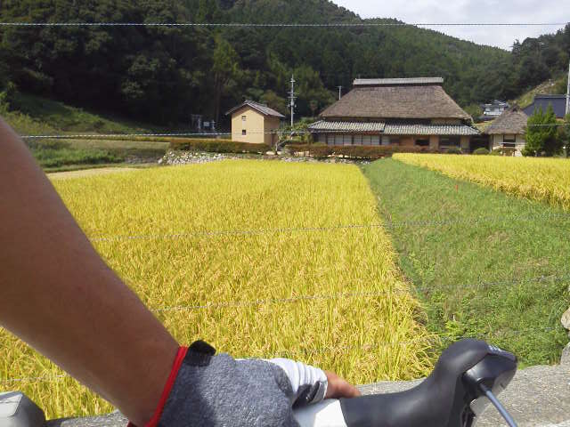 c0214359_23443474.jpg