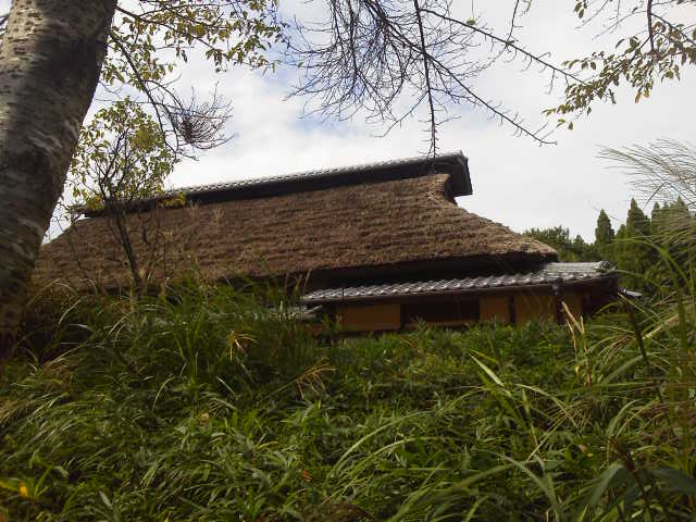 c0214359_23535439.jpg