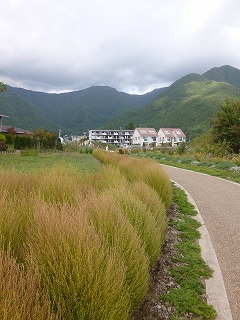 a0165160_7444563.jpg
