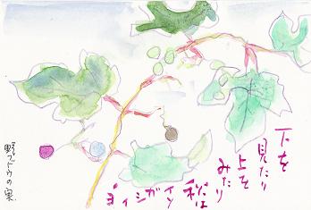 悩みごとの多い秋。。_e0136066_16442780.jpg