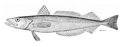 c0177968_17135890.jpg