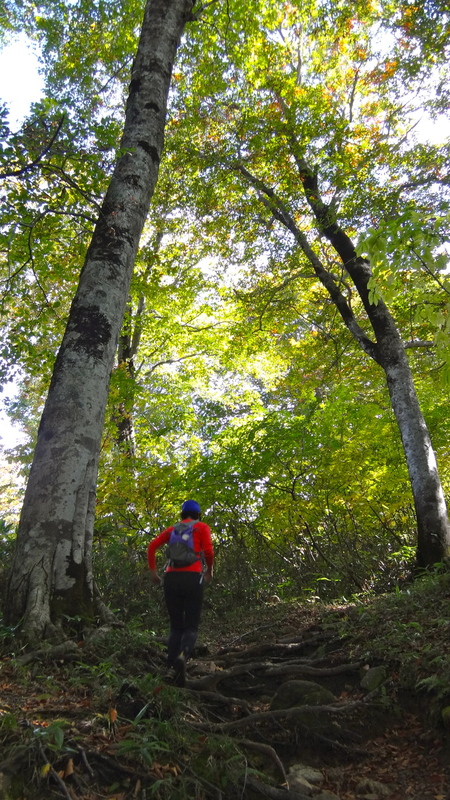 2012/10/10-12 蓮華温泉トレイルランニング Day.2_b0220886_16435357.jpg