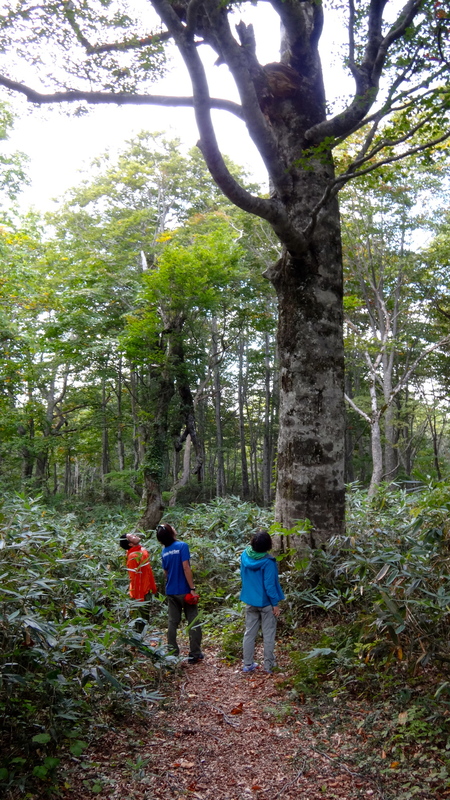2012/10/10-12 蓮華温泉トレイルランニング Day.2_b0220886_16512562.jpg