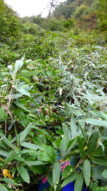 2012/10/10-12 蓮華温泉トレイルランニング Day.2_b0220886_1659469.jpg