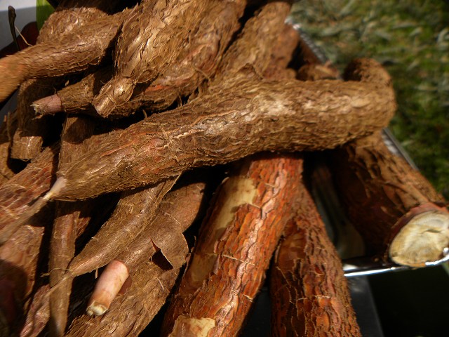 d0258487_18134540.jpg