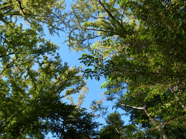 b0078188_2245255.jpg