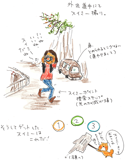 f0236291_951891.gif
