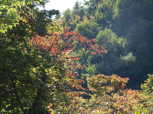 f0236291_9551632.jpg