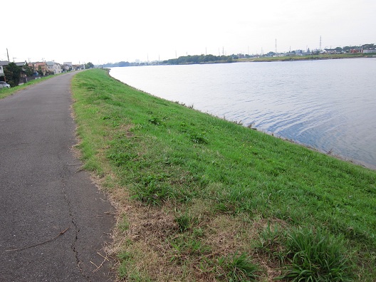 f0224492_1027425.jpg