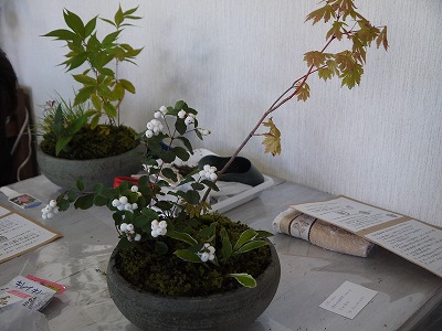 土あそびワークショップ1日目_a0233896_12222141.jpg