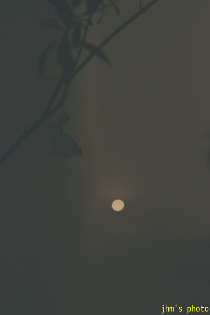 TURN AROUND_a0158797_9201414.jpg