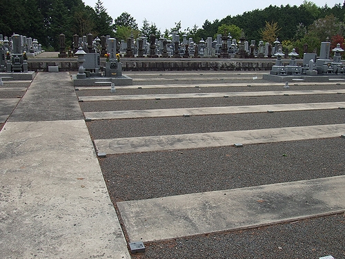 d0212097_9565129.jpg