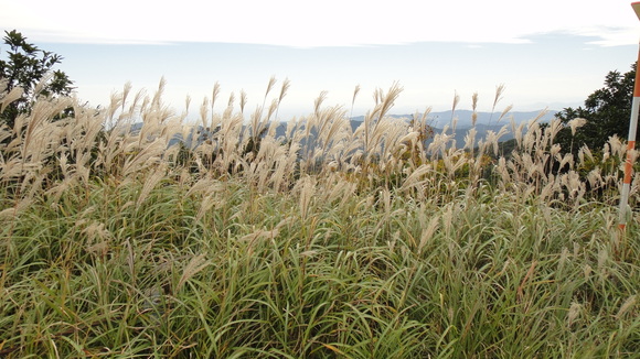 f0036700_12523844.jpg