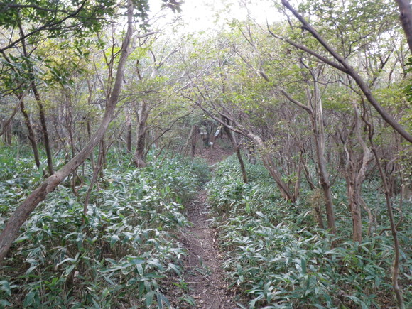 f0036700_12525979.jpg