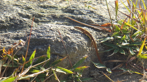 f0036700_12532296.jpg