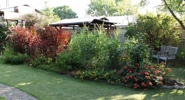 a0123003_2020227.jpg