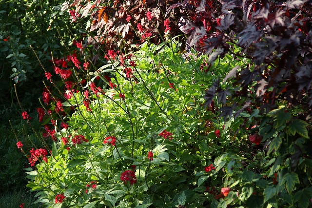 a0123003_2030478.jpg