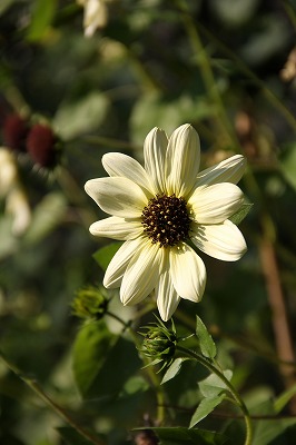a0123003_20325649.jpg